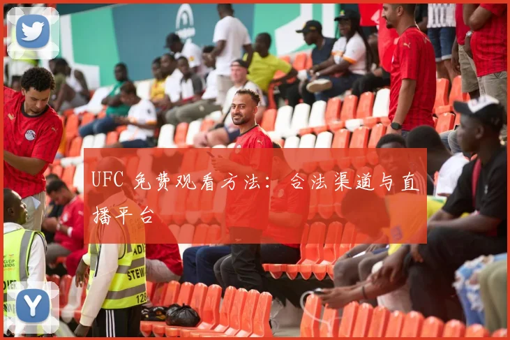 UFC 免费观看方法:合法渠道与直播平台