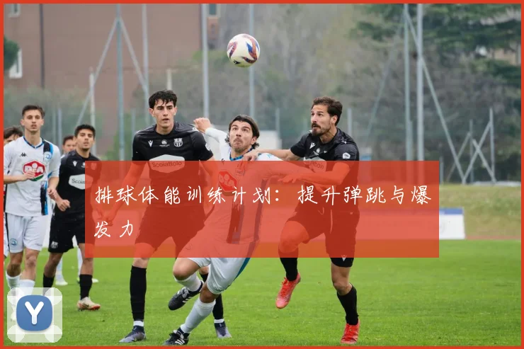 排球体能训练计划：提升弹跳与爆发力