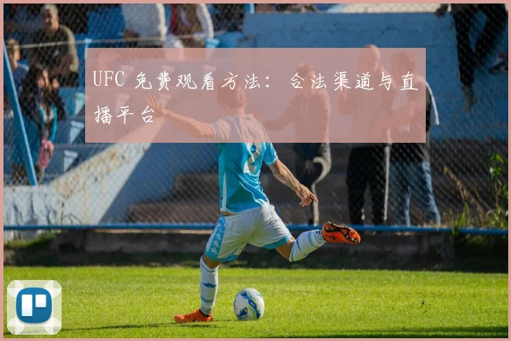 UFC 免费观看方法:合法渠道与直播平台